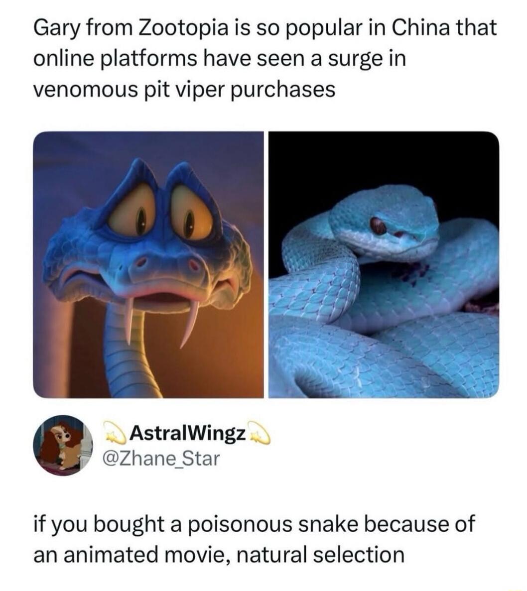 Gary from Zootopia is so popular in China that online platforms have seen a surge in venomous pit viper purchases

[image of a blue snake with fangs] [close-up of a venomous blue pit viper]

If you bought a poisonous snake because of an animated movie, natural selection