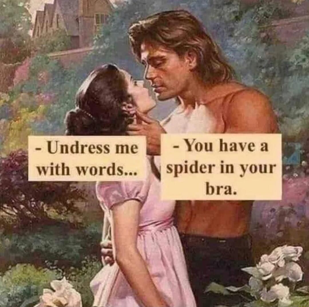 You have a spider in your Undress me with words