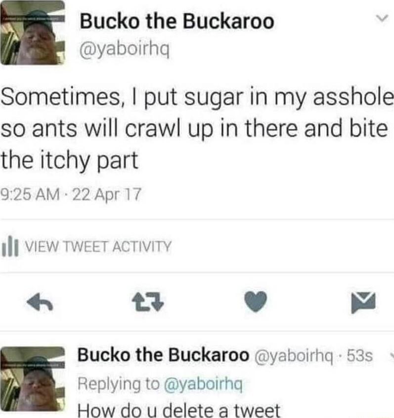 Bucko the Buckaroo yaboirhq Sometimes put sugar in my asshole so ants will crawl up in there and bite the itchy part 925AM 22 Apr 17 il ViEW TWEET ACTIVITY x4 L 4 4 Bucko the Buckaroo yaboirhq 53s Replying to yaboirhq How do u delete a tweet