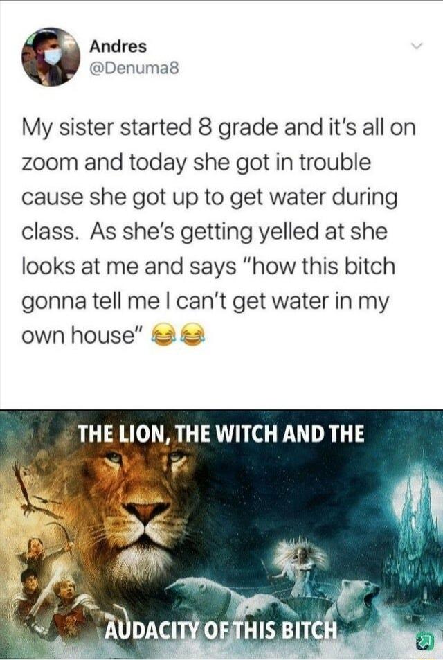 Andres Denuma8 My sister started 8 grade and its all on zoom and today she got in trouble cause she got up to get water during class As shes getting yelled at she looks at me and says how this bitch gonna tell me cant get water in my own house THE LION THE WITCH AND THE