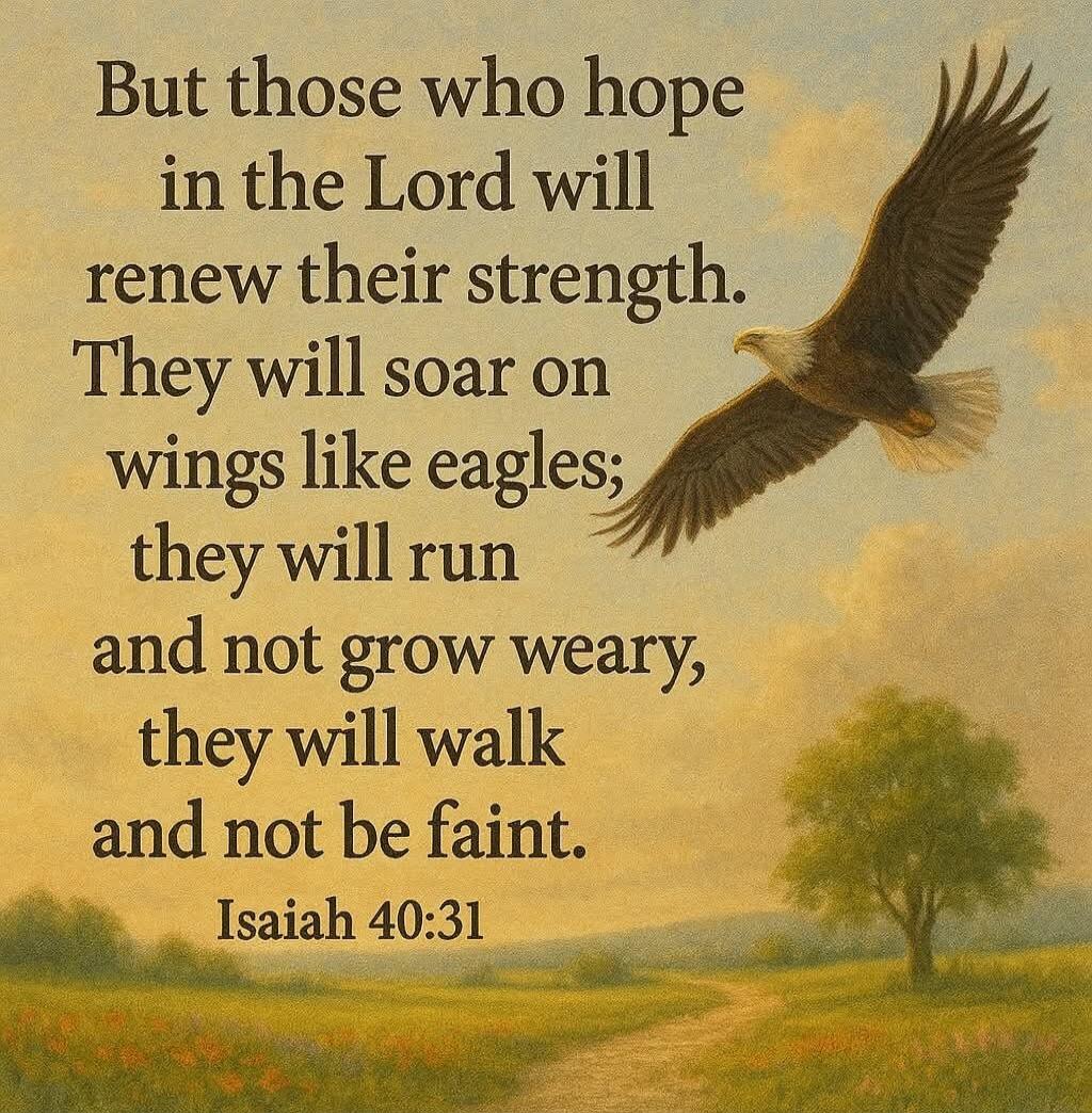 But those who hope in the Lord will renew their strength. They will soar on wings like eagles; they will run and not grow weary, they will walk and not be faint. Isaiah 40:31
