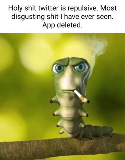Holy shit twitter is repulsive Most disgusting shit have ever seen App deleted