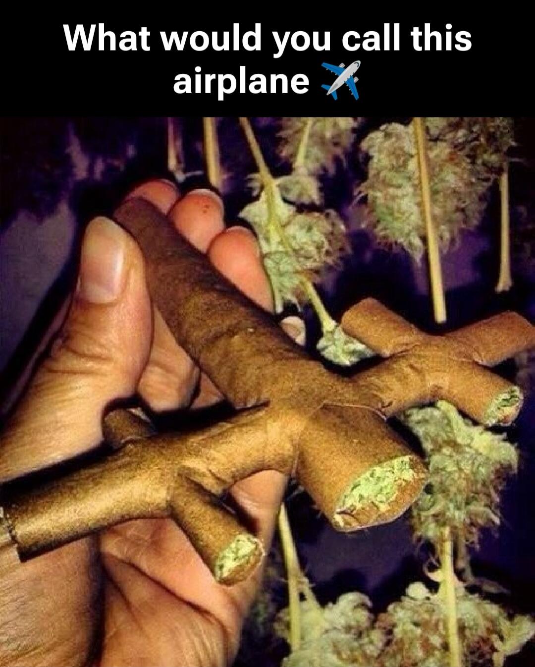 What would you call this airplane