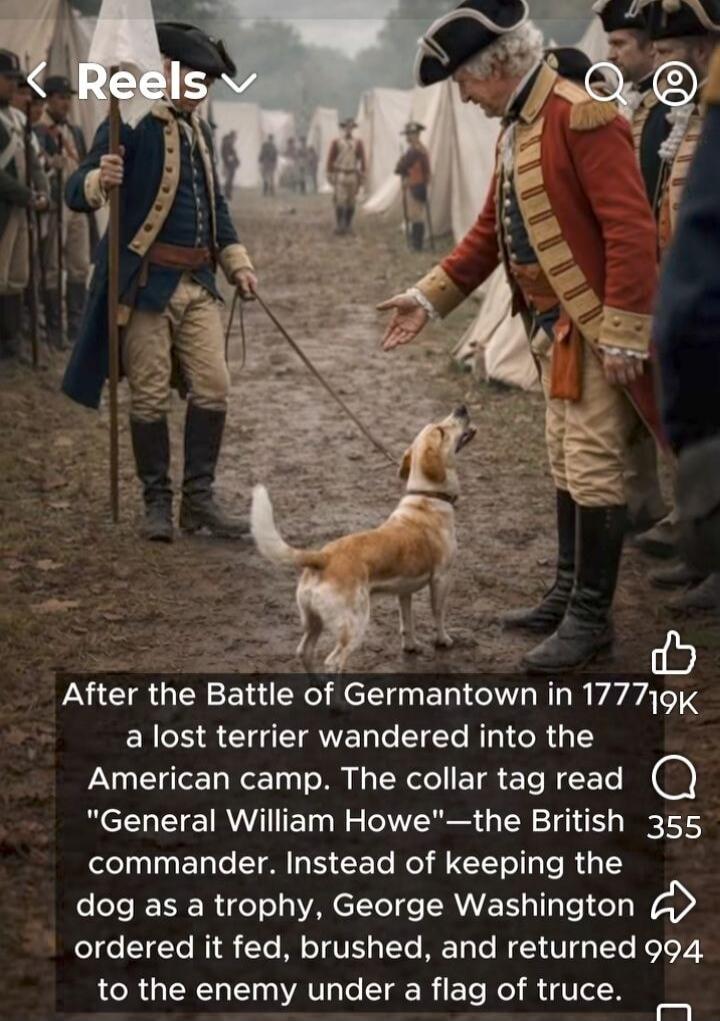 After the Battle of Germantown in 1777, a lost terrier wandered into the American camp. The collar tag read 
