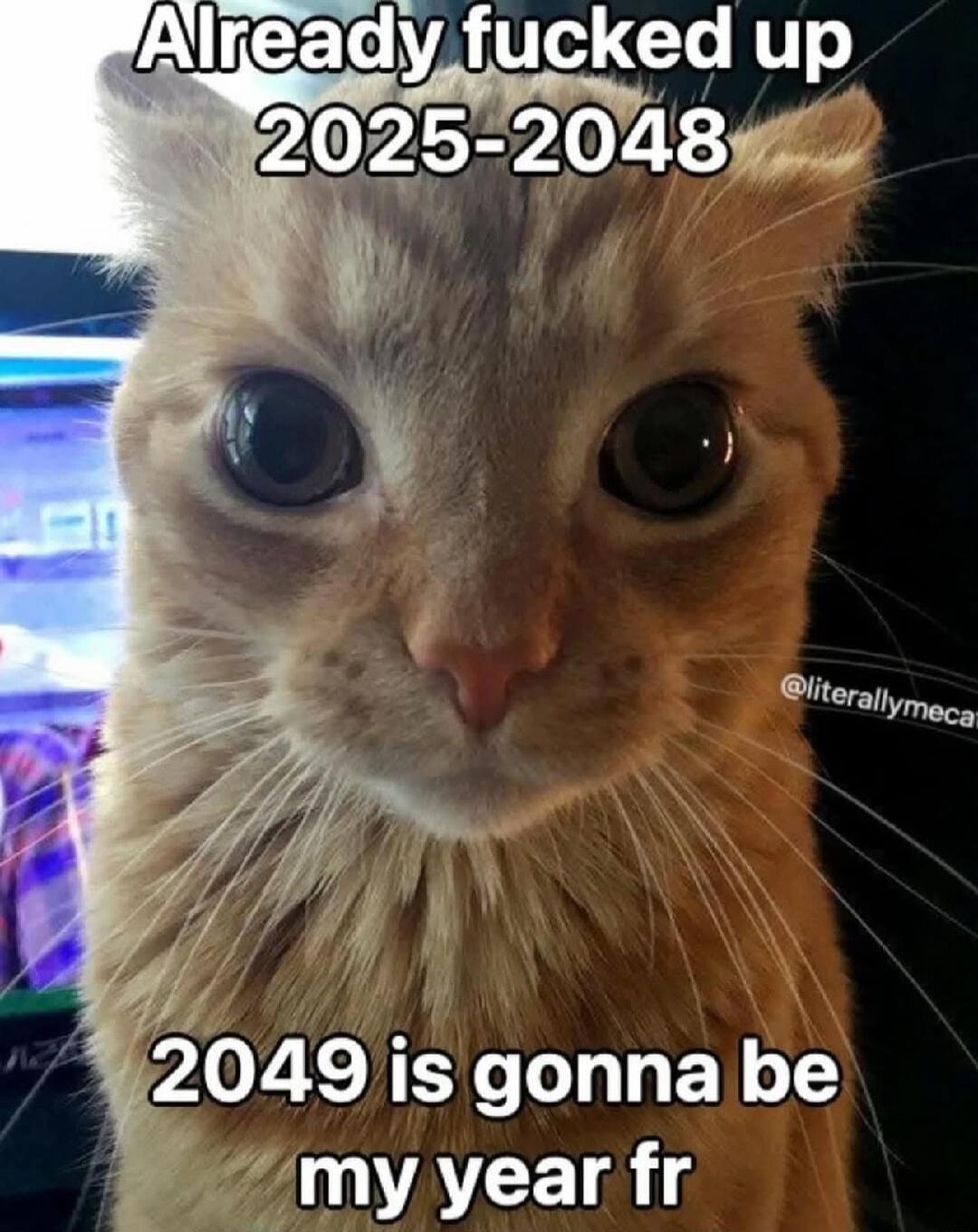 AIreadykfucked up Sliterallymee 2049 is gonna be 1 WVACEIRIE