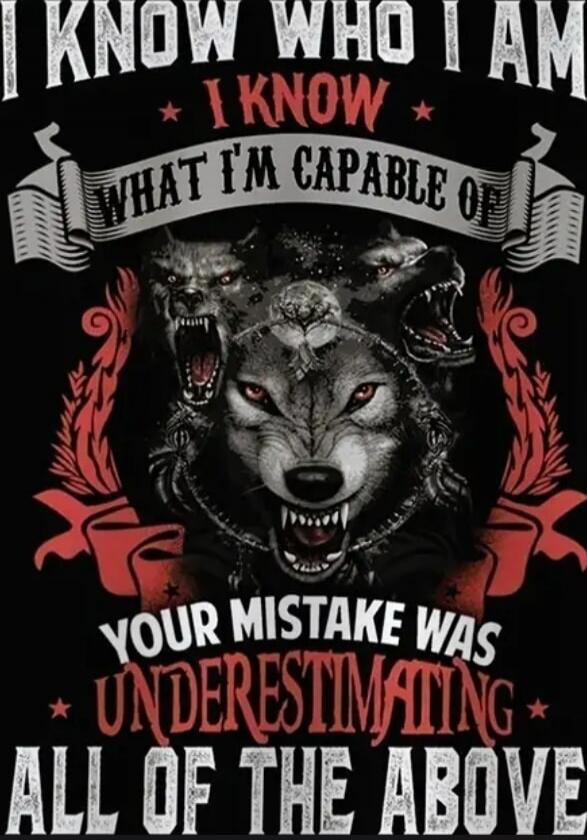 I KNOW WHO I AM I KNOW WHAT I'M CAPABLE OF YOUR MISTAKE WAS UNDERESTIMATING ALL OF THE ABOVE
