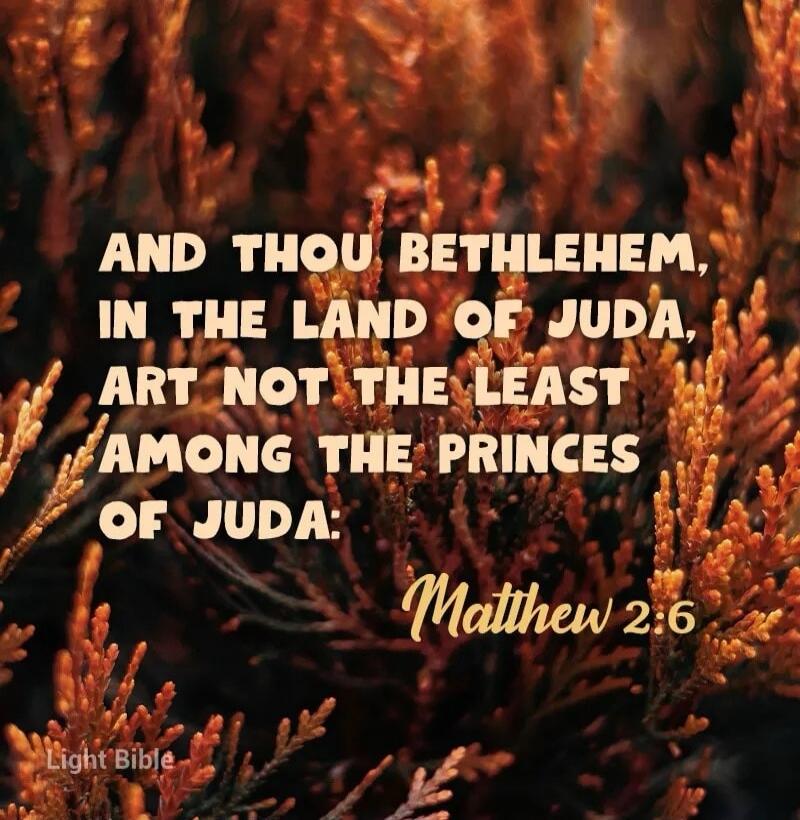 AND THOU BETHLEHEM, IN THE LAND OF JUDA, ART NOT THE LEAST AMONG THE PRINCES OF JUDA: Matthew 2:6