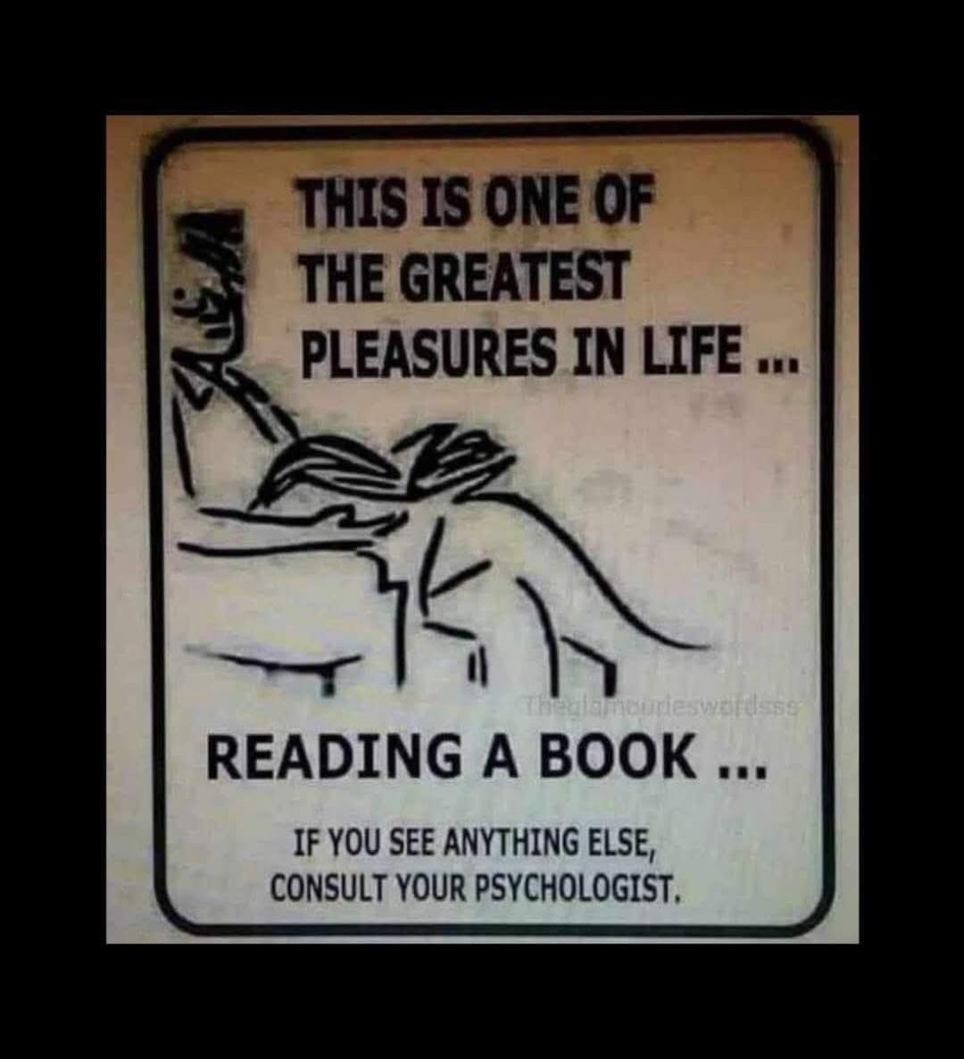 THIS IS ONE OF THE GREATEST PLEASURES IN LIFE ... READING A BOOK ... IF YOU SEE ANYTHING ELSE, CONSULT YOUR PSYCHOLOGIST.