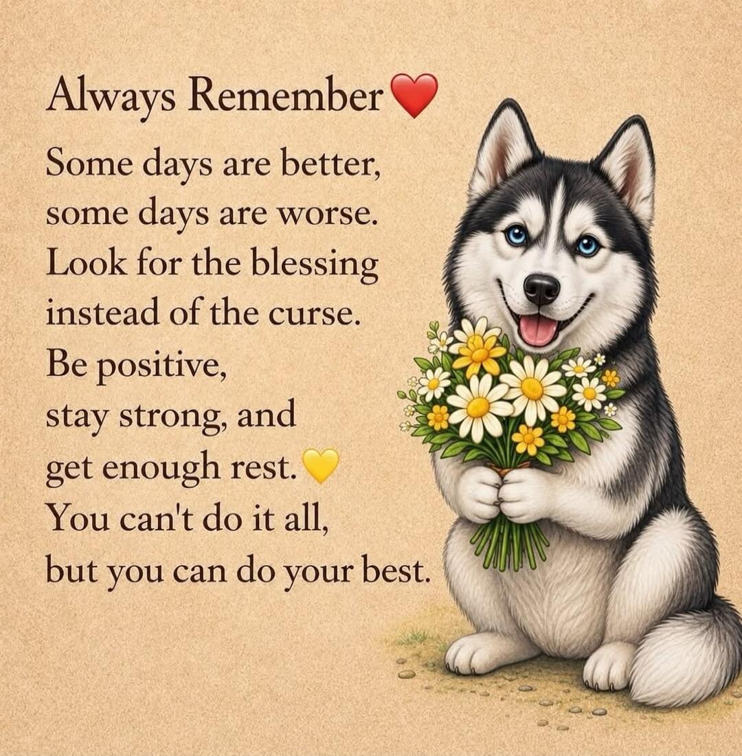 Always Remember ❤️ Some days are better, some days are worse. Look for the blessing instead of the curse. Be positive, stay strong, and get enough rest.💛 You can't do it all, but you can do your best.
