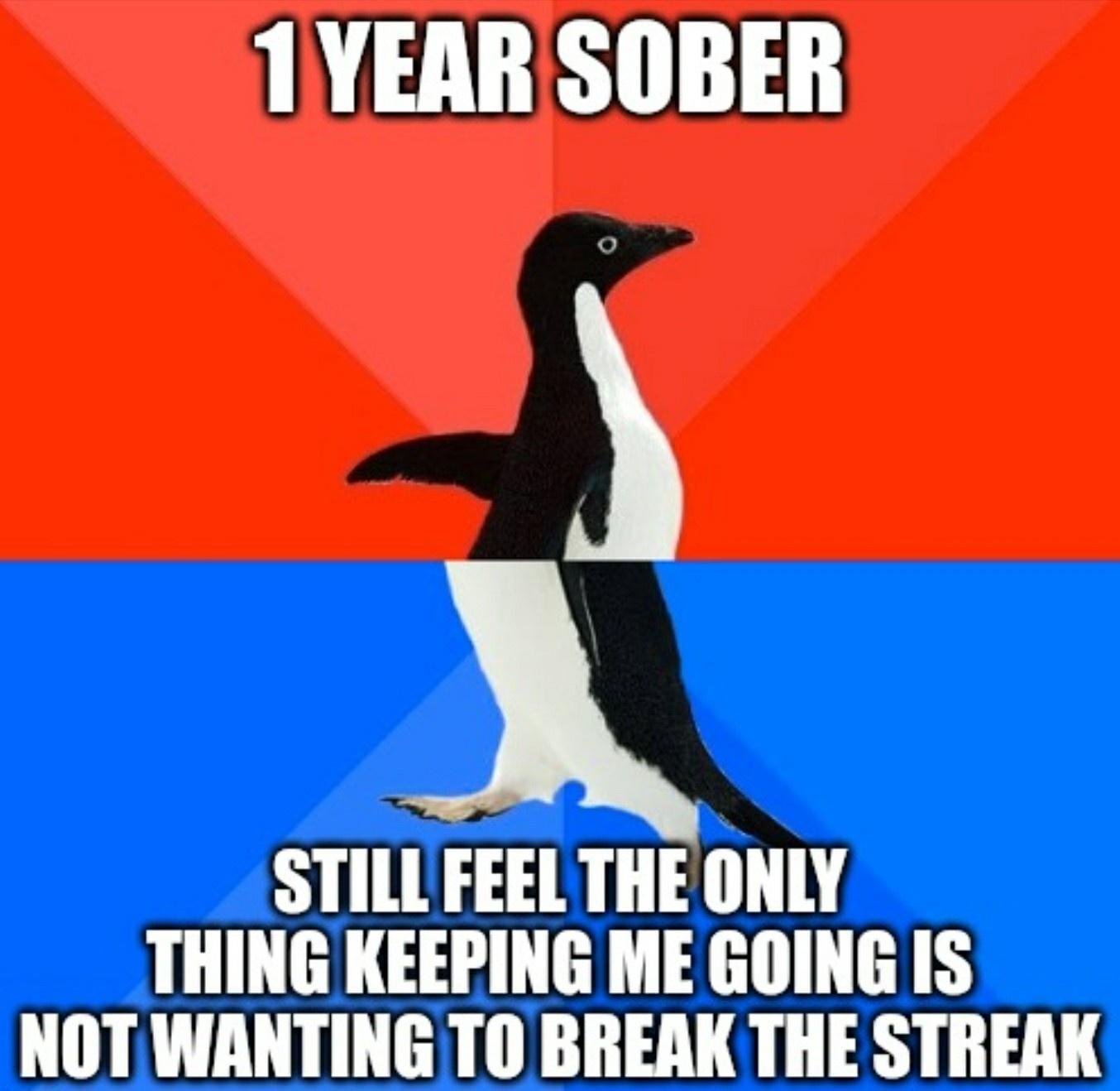 1YEAR SOBER STILL FEEL THE ONLY THING KEEPING ME GOING IS NOTWANTING TO BREAK THE STREAK
