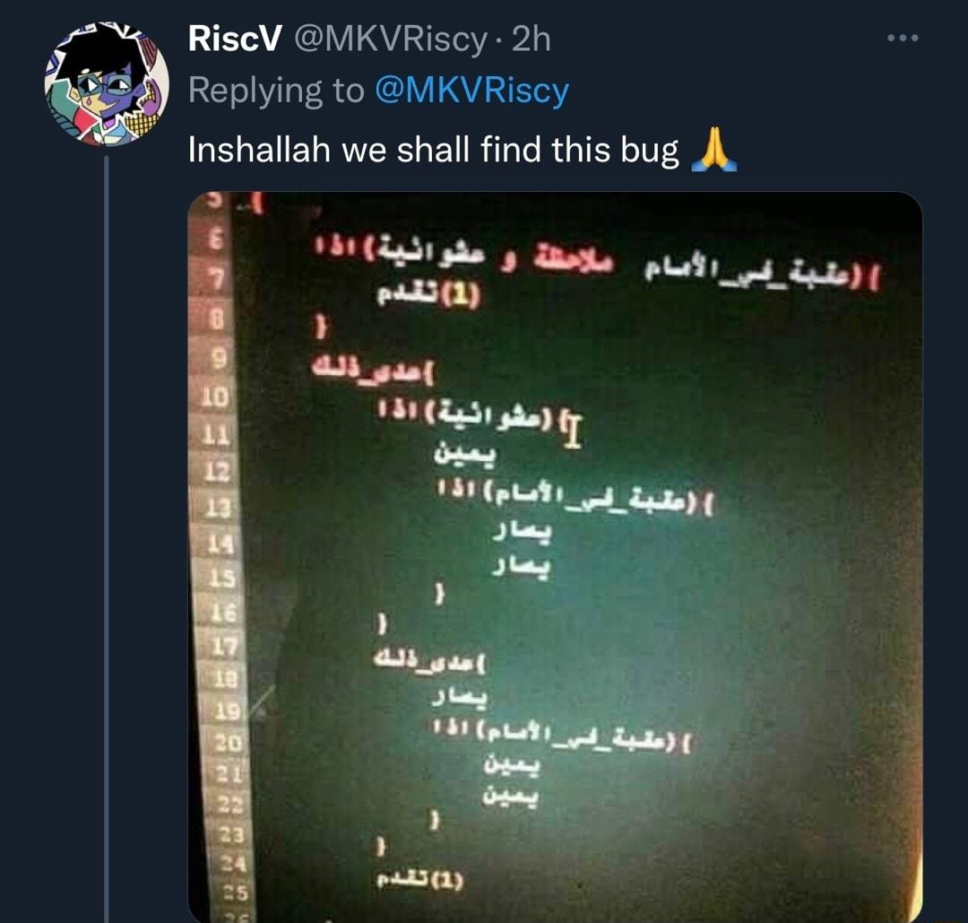 w0 RiscV MKVRiscy 2h Replying to MKVRiscy Inshallah we shall find this bug A S Bt il 2oy