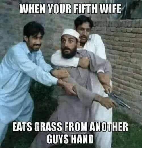 WHEN YOUR FIFTH WIFE EATS GRASS FROM ANOTHER GUYS HAND