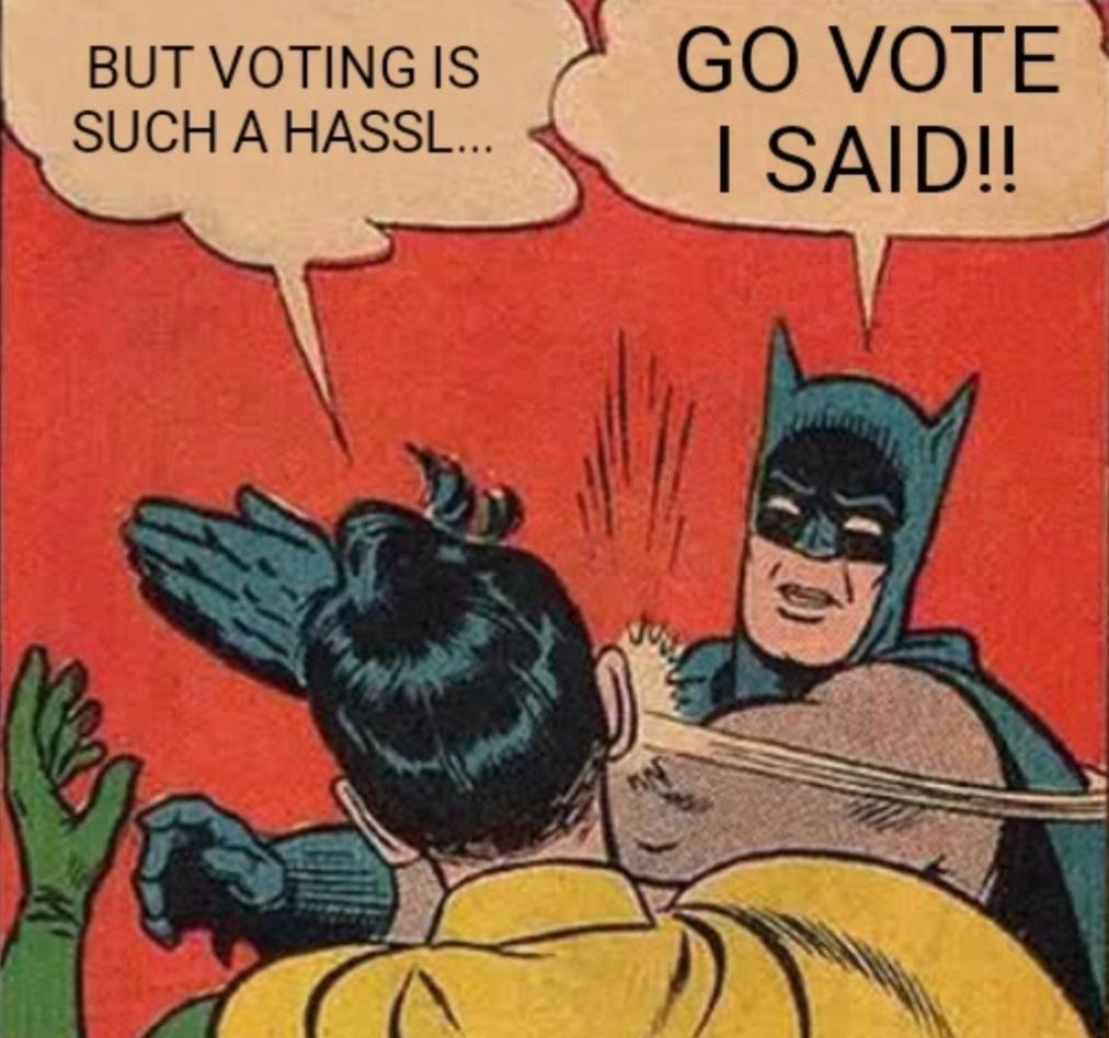ButvoTingis GO VOTE SUCH A HASSL EquD o