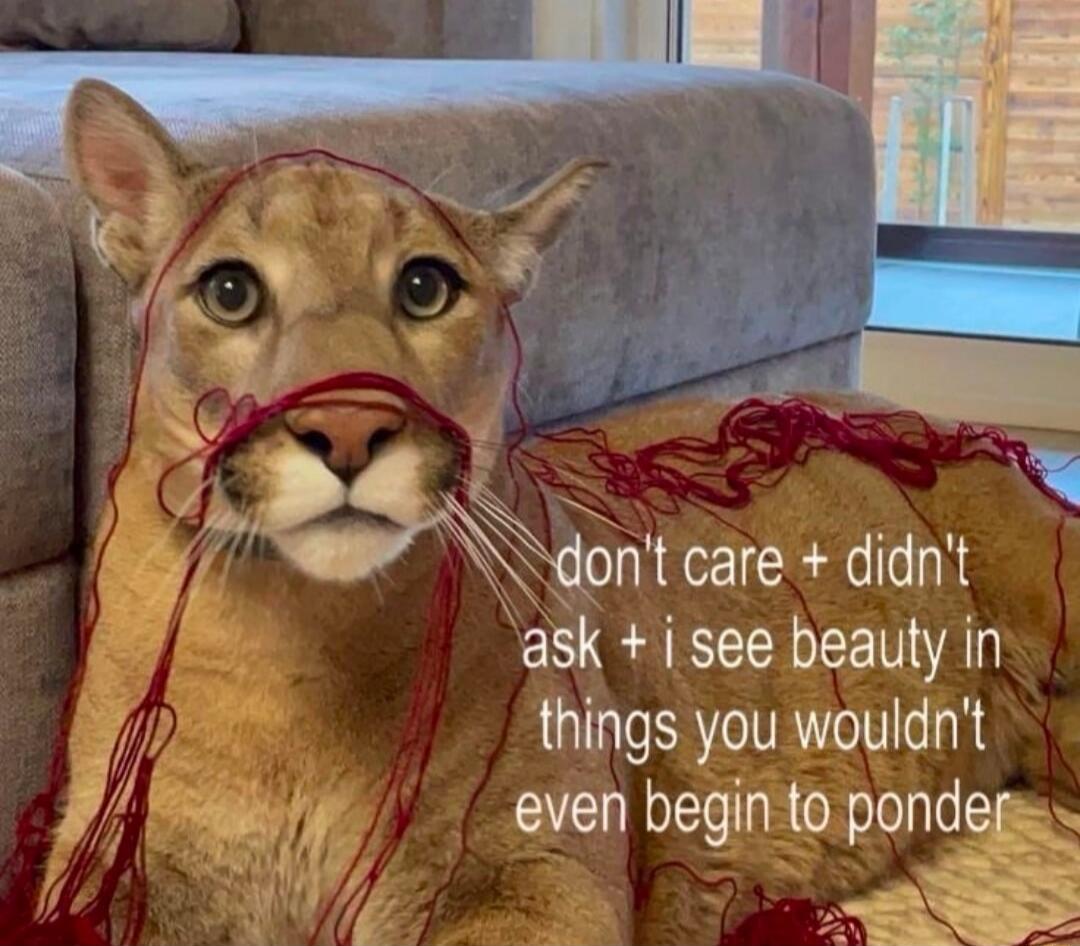 don't care + didn't ask + i see beauty in things you wouldn't even begin to ponder