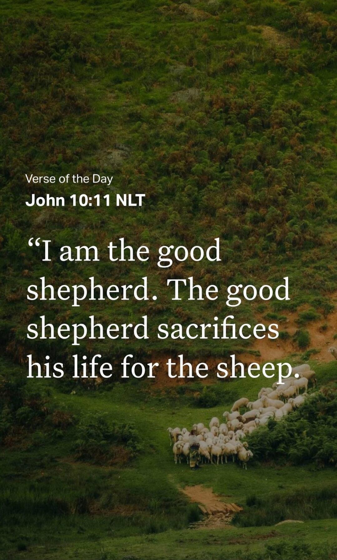 Verse of the Day
John 10:11 NLT
“I am the good shepherd. The good shepherd sacrifices his life for the sheep.”