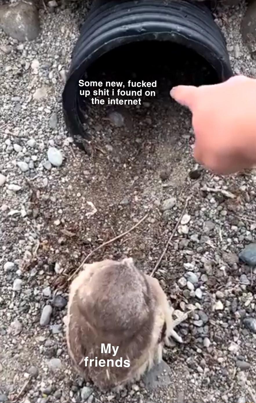 Some new fucked up shit i found on the internet