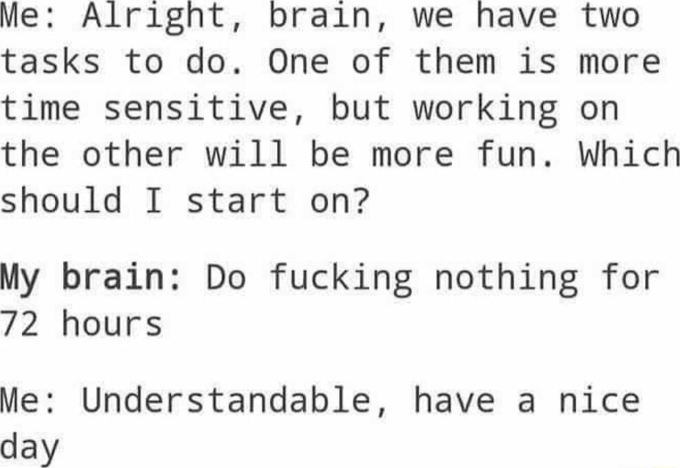 Me Alright brain we have two tasks to do One of them is more time sensitive but working on the other will be more fun Which should I start on My brain Do fucking nothing for 72 hours Me Understandable have a nice day