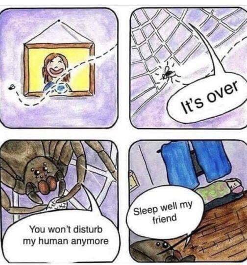 You wont disturb my human anymore