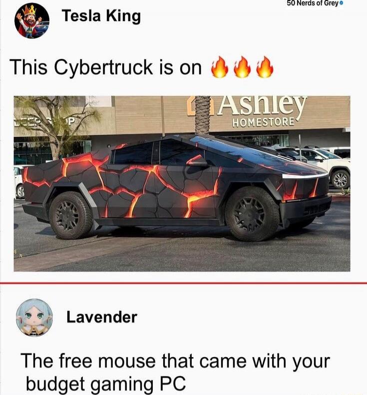 Tesla King
This Cybertruck is on 🔥🔥🔥
Ashley Homestore
Lavender
The free mouse that came with your budget gaming PC