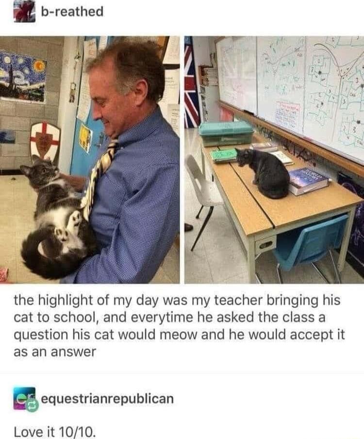 WL b reathed the highlight of my day was my teacher bringing his cat to school and everytime he asked the class a question his cat would meow and he would accept it as an answer Sequesrianrepublican Love it 1010