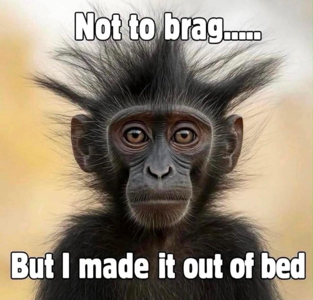 Not to brag...... But I made it out of bed