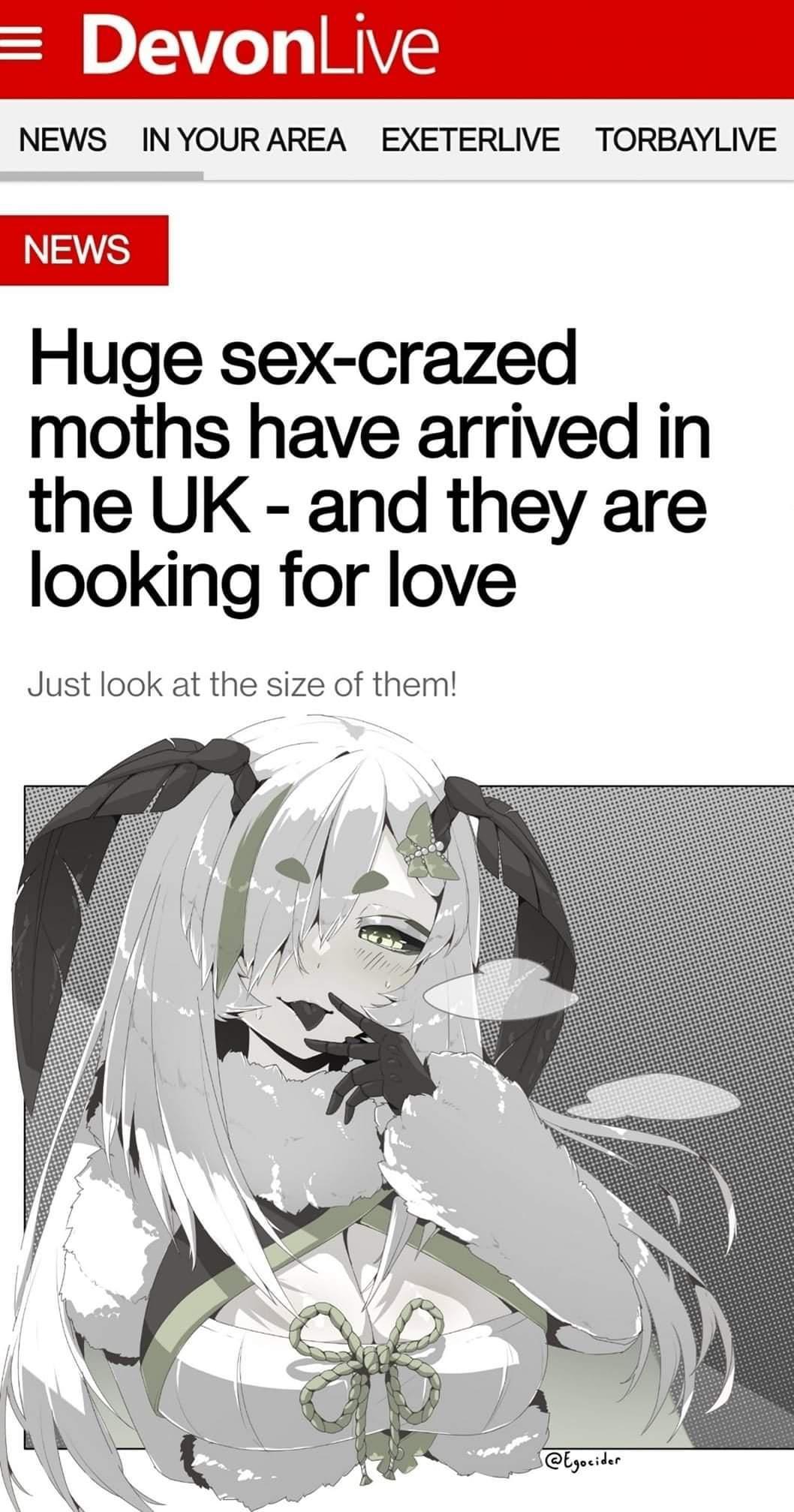 DIV e 17 HVE NEWS INYOURAREA EXETERLIVE TORBAYLIVE Huge sex crazed moths have arrived in the UK and they are looking for love Just look at the size of them