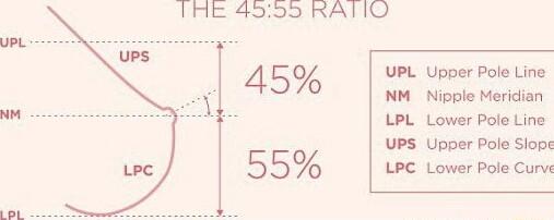 g THE 4555 RATIO 45 UPL Upper Pole Line NM Nipple Meridian LPL Lower Pole Line UPS Upper Pole Slope LPC Lower Pole Curve