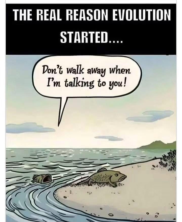 THE REAL REASON EVOLUTION STARTED.... Don't walk away when I'm talking to you!