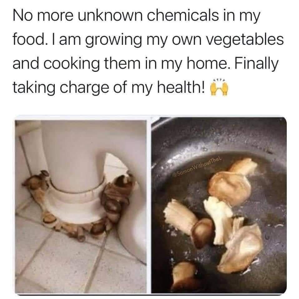 No more unknown chemicals in my food am growing my own vegetables and cooking them in my home Finally taking charge of my health