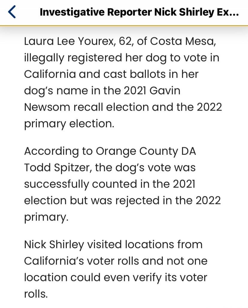 Laura Lee Yourex, 62, of Costa Mesa, illegally registered her dog to vote in California and cast ballots in her dog's name in the 2021 Gavin Newsom recall election and the 2022 primary election.

According to Orange County DA Todd Spitzer, the dog's vote was successfully counted in the 2021 election but was rejected in the 2022 primary.

Nick Shirl