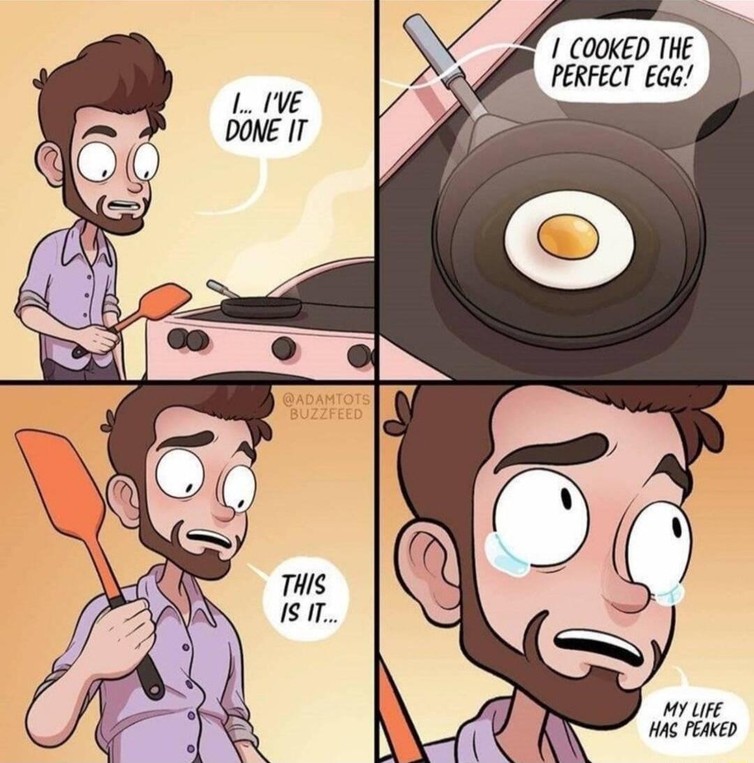 COOKED THE PERFECY 66
