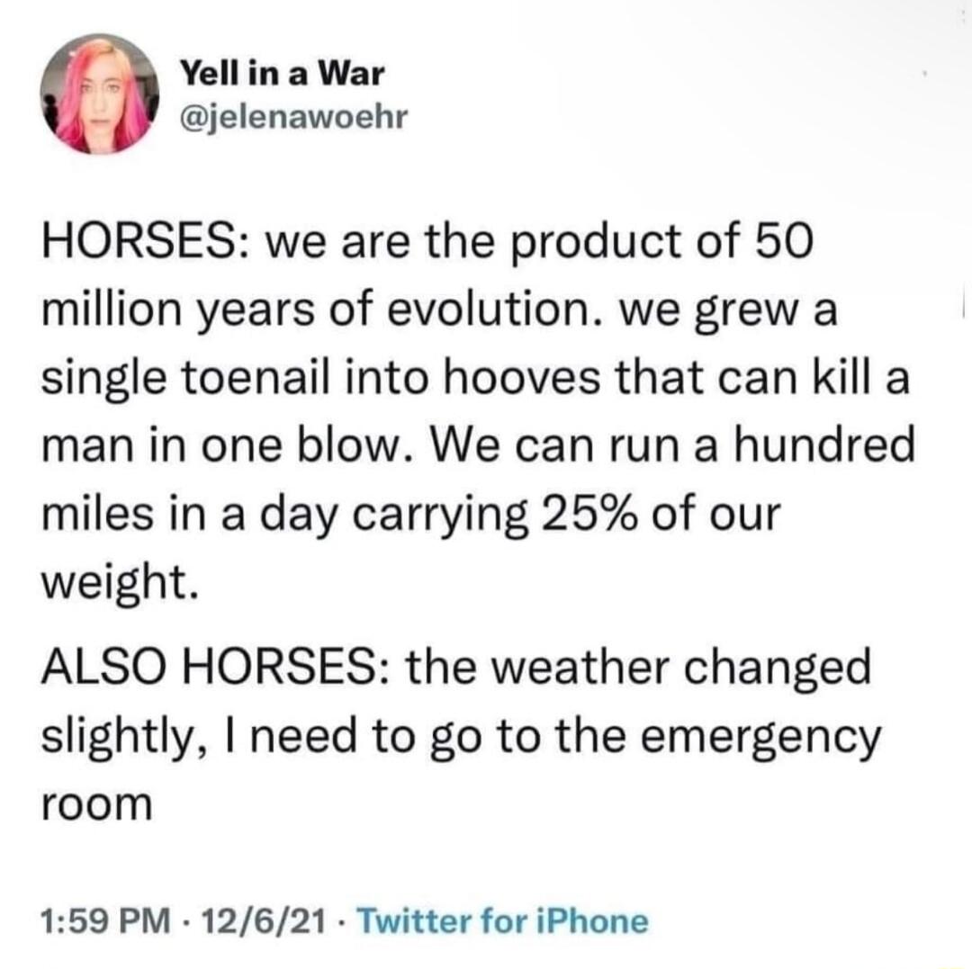 Yellin a War jelenawoehr HORSES we are the product of 50 million years of evolution we grew a single toenail into hooves that can kill a man in one blow We can run a hundred miles in a day carrying 25 of our weight ALSO HORSES the weather changed slightly need to go to the emergency room 159 PM 12621 Twitter for iPhone