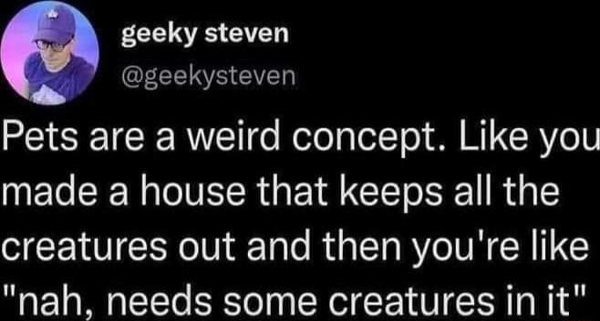 geeky steven EEER EVED Pets are a weird concept Like you made a house that keeps all the creatures out and then youre like nah needs some creatures in it