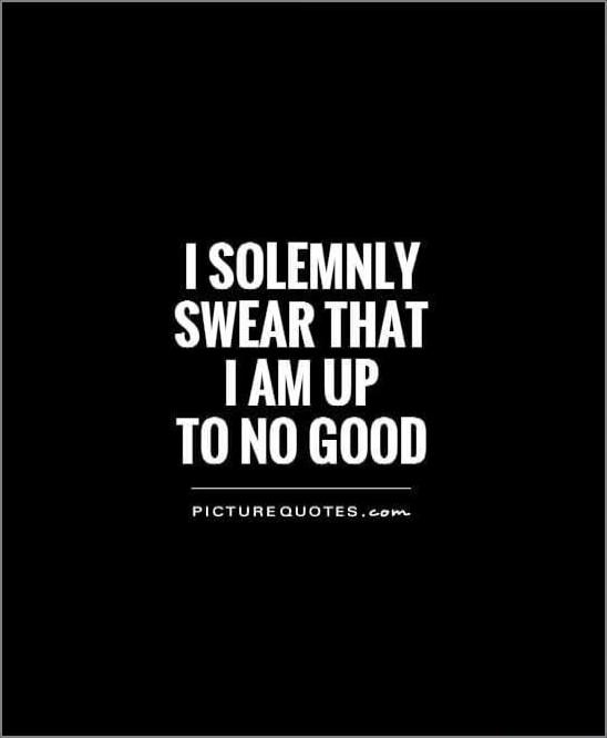 I SOLEMNLY SWEAR THAT I AM UP TO NO GOOD