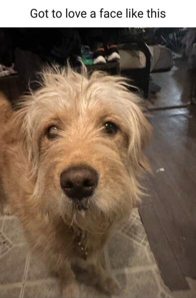 Got to love a face like this