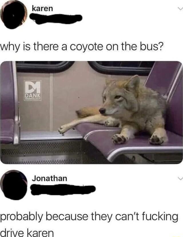 Jonathan probably because they cant fucking drive karen