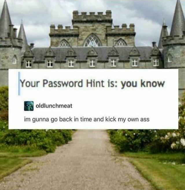 Your Password Hint is you know oldiunchmeat im gunna go back in time and kick my own ass