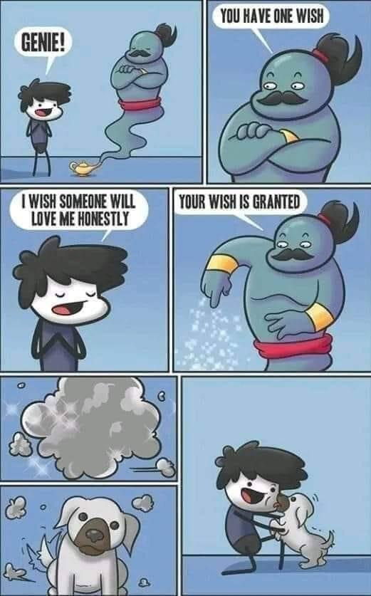 Y0U HAVE ONE WISH 1 WISH SOMEONE WILL LOVE ME HONESTLY