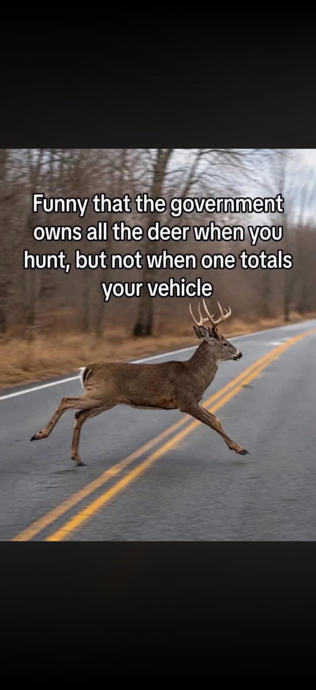 Funny that the government owns all the deer when you hunt, but not when one totals your vehicle