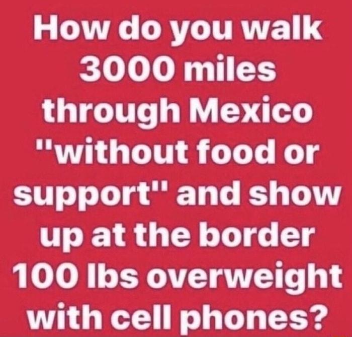 L VL GRTLITRNTE k30 Lo Lo B 11 515 through Mexico without food or support and show up at the border 100 Ibs overweight with cell phones