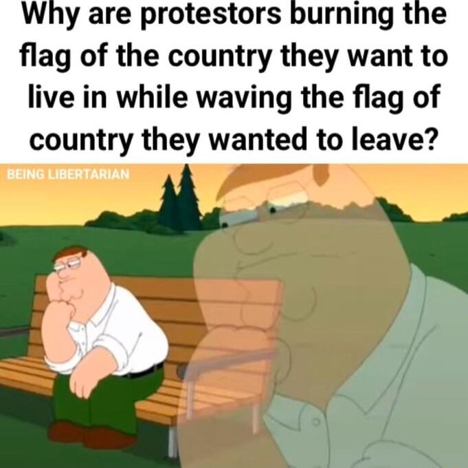 Why are protestors burning the flag of the country they want to live in while waving the flag of country they wanted to leave