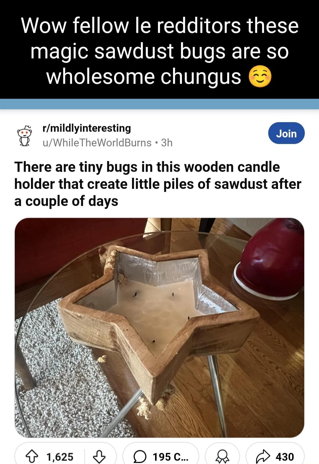 Wow fellow le redditors these magic sawdust bugs are so wholesome chungus 5 vmildlyinteresting There are tiny bugs in this wooden candle holder that create little piles of sawdust after a couple of days