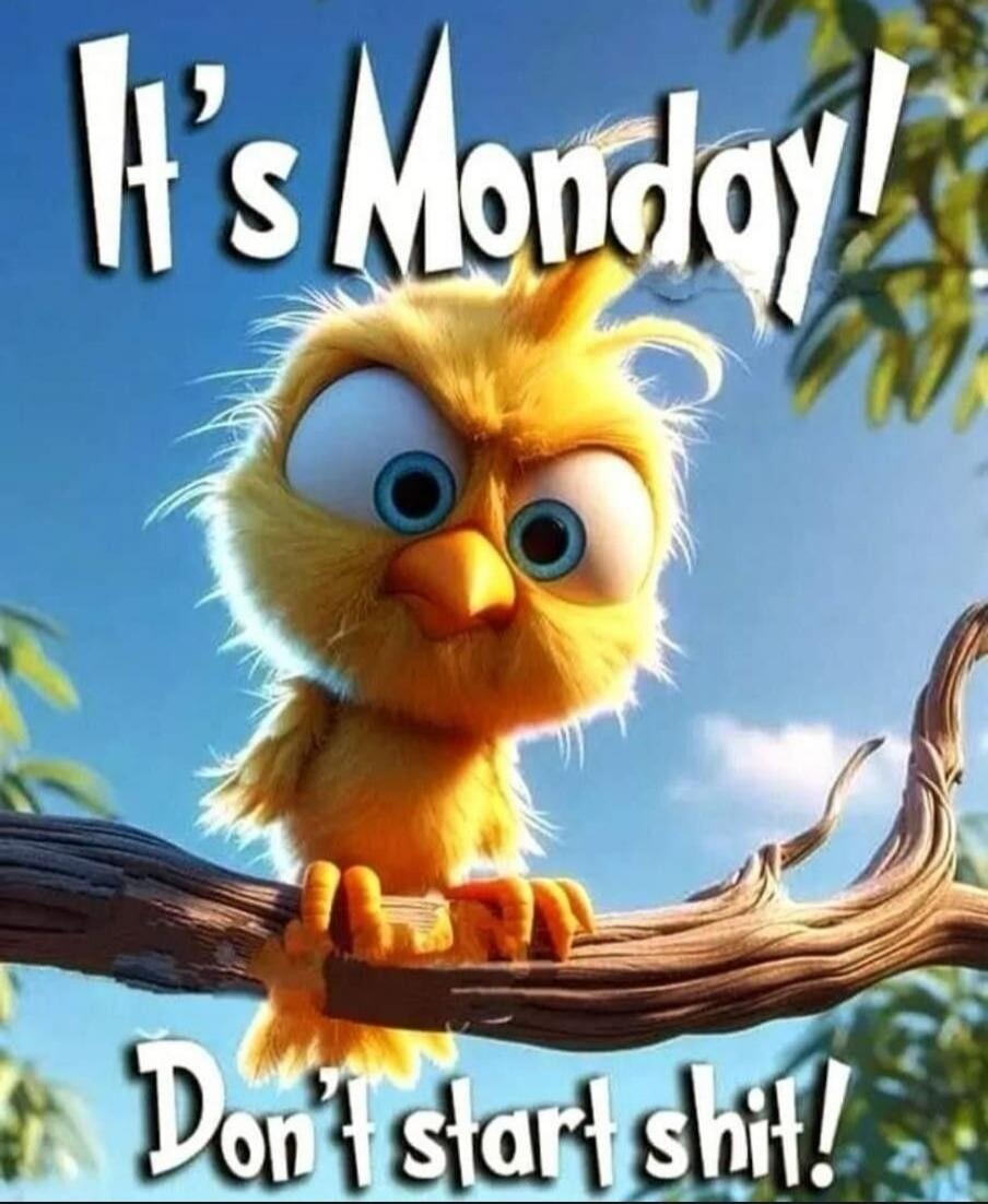 It's Monday! Don't start shit!