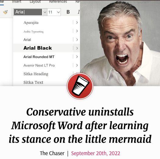 Conservative uninstalls Microsoft Word after learning its stance on the little mermaid The Chaser September 20th 2022