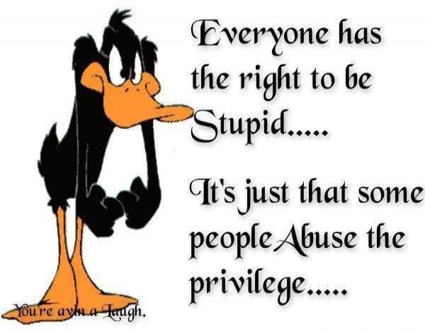 Everyone has the right to be Stupid..... It's just that some people Abuse the privilege.....