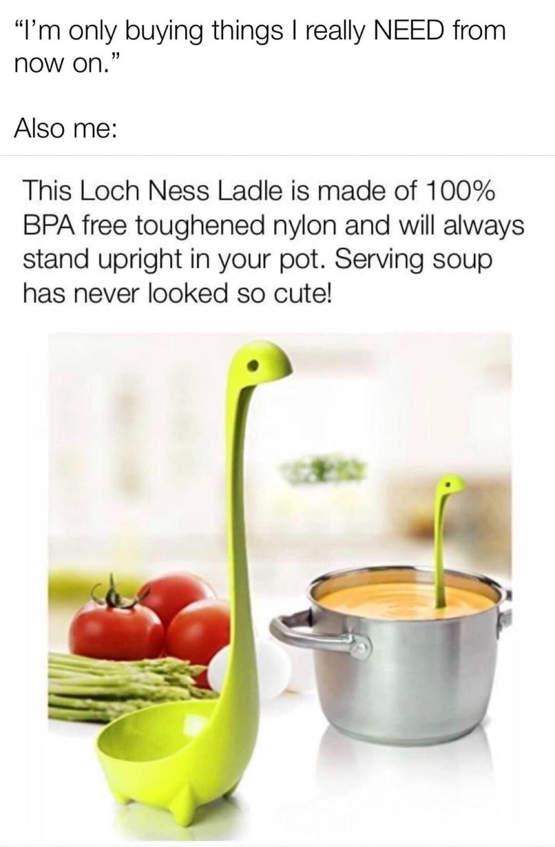 Im only buying things really NEED from now on Also me This Loch Ness Ladle is made of 100 BPA free toughened nylon and will always stand upright in your pot Serving soup has never looked so cute Amazing goods