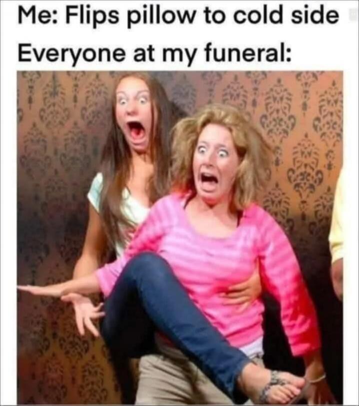Me: Flips pillow to cold side
Everyone at my funeral: