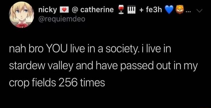 nah bro YOU live in a society. i live in stardew valley and have passed out in my crop fields 256 times