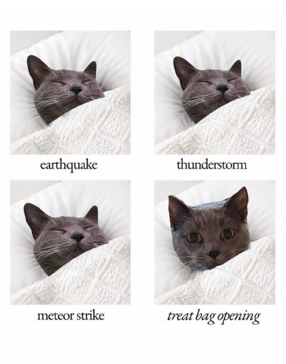 earthquake thunderstorm meteor strike treat bag opening
