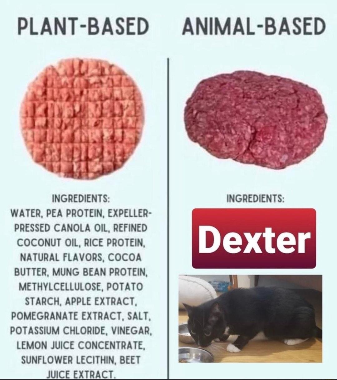 PLANT BASED ANIMAL BASED INGREDIENTS INGREDIENTS WATER PEA PROTEIN EXPELLER PRESSED CANOLA OIL REFINED COCONUT OIL RICE PROTEIN NATURAL FLAVORS COCOA BUTTER MUNG BEAN PROTEIN METHYLCELLULOSE POTATO STARCH APPLE EXTRACT POMEGRANATE EXTRACT SALT POTASSIUM CHLORIDE VINEGAR LEMON JUICE CONCENTRATE SUNFLOWER LECITHIN BEET JUICE EXTRACT ex 1